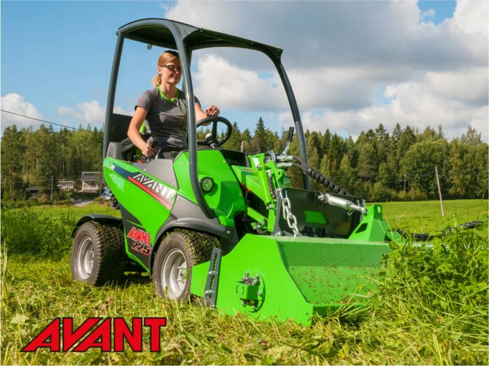 Avant Minipale